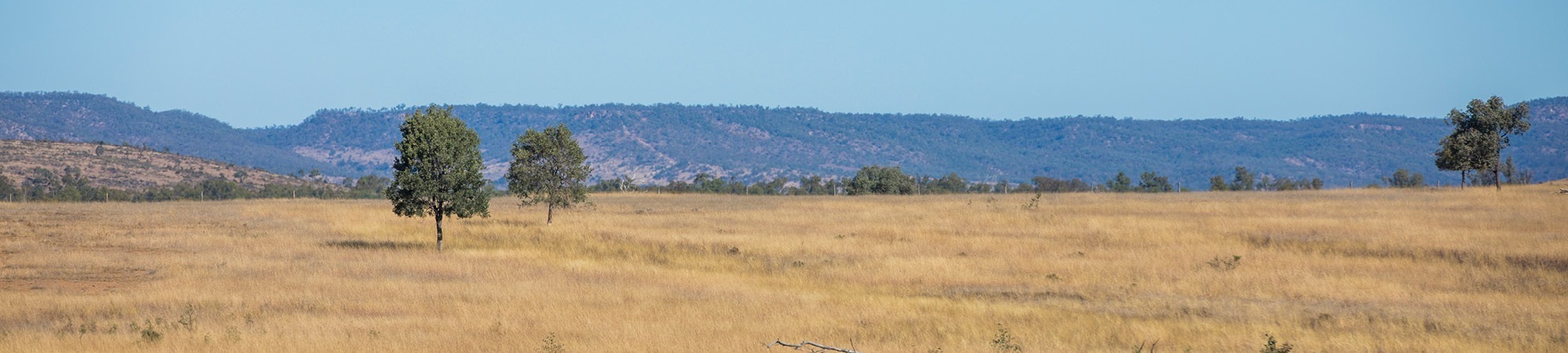 Landscape of rural Queensland