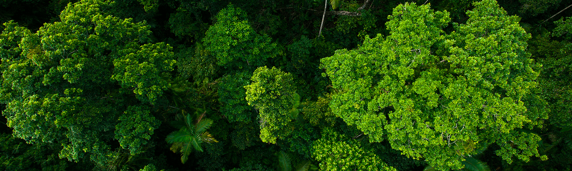 GROW Rural North Queensland 